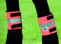 Hy Viz Leg Bands